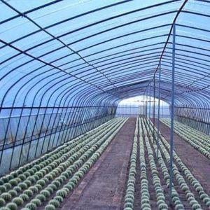 温室薄膜为什么要使用滴灌膜