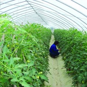 农用薄膜正确安装与使用技术