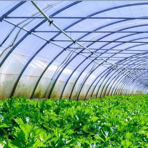 蔬菜大棚膜在夏季需怎样养护